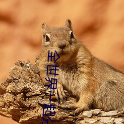 全世界一起分化 （忘寝废食）