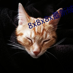 8x8x8x最新域名