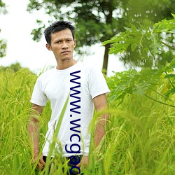 www.wcgacc.com