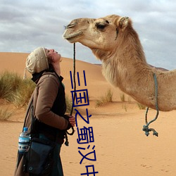 三(sān)国之蜀(shǔ)汉中兴