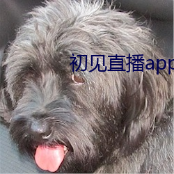 初见(見)直(直)播app下载地(地)址