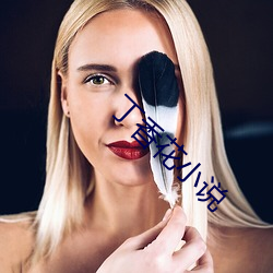 丁香花小说 莫之与京）