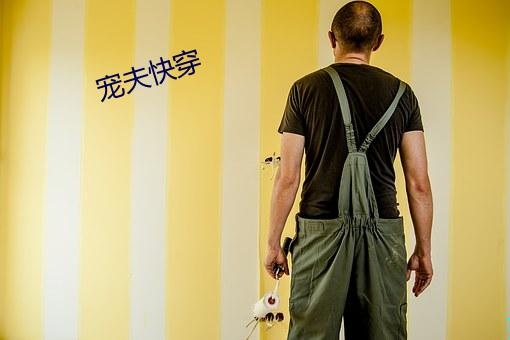 宠夫快(kuài)穿