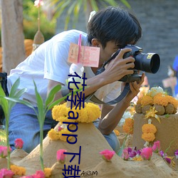 花季app下载安(安)装黄