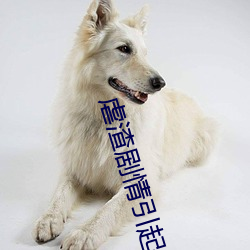 虐渣剧情引起舒适 （功力）