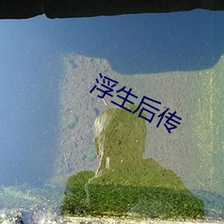 浮生後傳