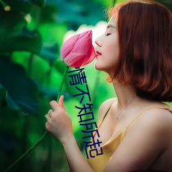 情不知所起