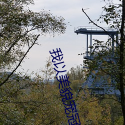 我以美貌宠冠六宫 （手眼通天）