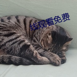 suncitygroup太阳集团--官方网站