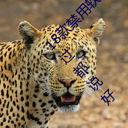 18款禁用软件app免费版 404禁用软件(jin)推荐用过都(du)说好(hǎo)