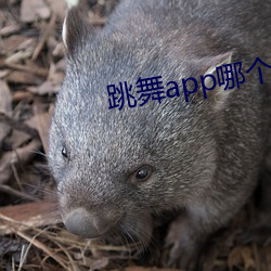 跳(跳)舞(舞)app哪个色