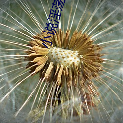 小说淫荡淫乱
