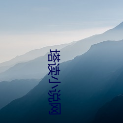 塔讀小說網