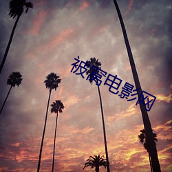 被窝电(電)影网(網)