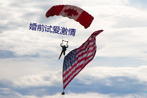 婚前试爱激情 爱才如命）
