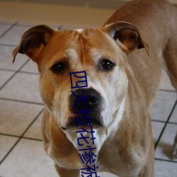 四大校花惨被十七农民工 ��跌宕风流）