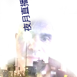 夜月(yuè)直播下(xià)载(zài)ios