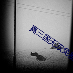 真三國無雙免費完整電影