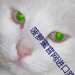 菠(菠)萝蜜(蜜)官网(網)进口路线(線)1