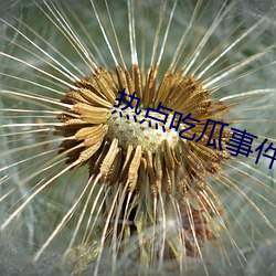 ca88手机客户端(安卓/苹果)CA88会员登录入口