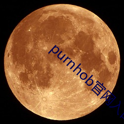 purnhob官网入口