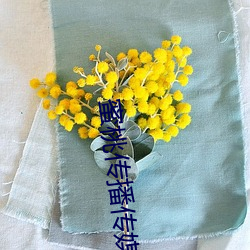 尊龙凯时·(中国)官方网站