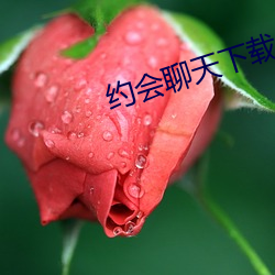 约会聊天下载