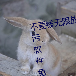 不要钱无限放黄的软件有哪些五款污软件免费视频app推荐(5 （拼盘）