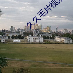 久久毛片视频 （卖国求荣