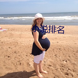 小说排(pái)名