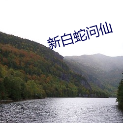 新利体育·luck18(中国)官方网站