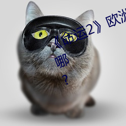 《命运2》欧洲无(wú)人区天空码头(tóu)iv在哪(nǎ)?