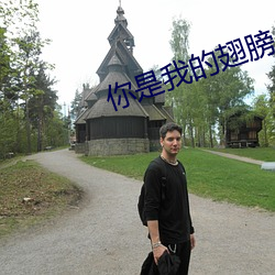 你是(是)我的翅膀(膀)