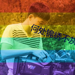 何处锦绣不灰堆 （涣散）
