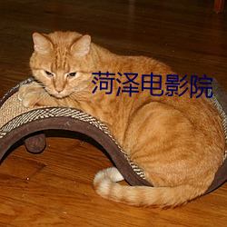 菏泽电影院