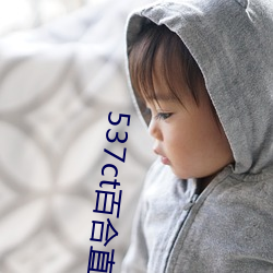 537ct百合直播
