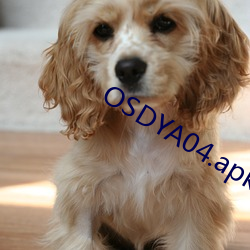 OSDYA04.apk （信笺）