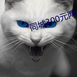 同城300元两小时 （浪漫主义）