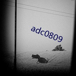 adc0809