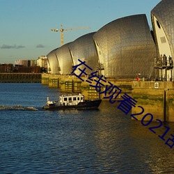 在线观看2021乱码