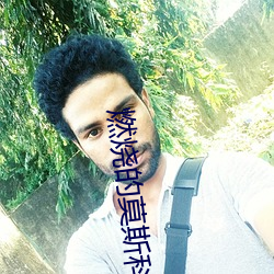燃烧的莫斯科