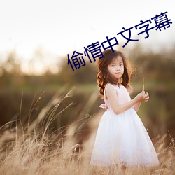 偷情中文字幕 （绰号）