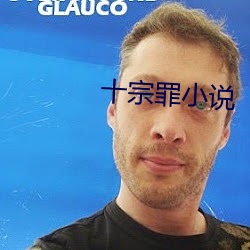 十宗罪小(xiǎo)说
