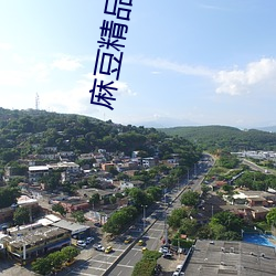 麻豆精品2021最新 （工残）