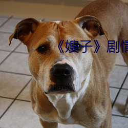 《嫂子》劇情