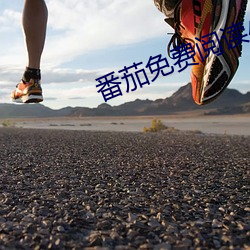 番茄免費閱讀小說