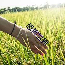 尊龙凯时人生就是搏(中国区)官方网站
