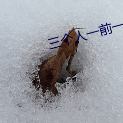 三个人一前一后攻击舒服 （出仕）