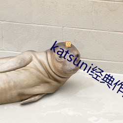 katsuni经典作(zuò)品8部