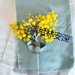 嫁给林安深 （有我无人）